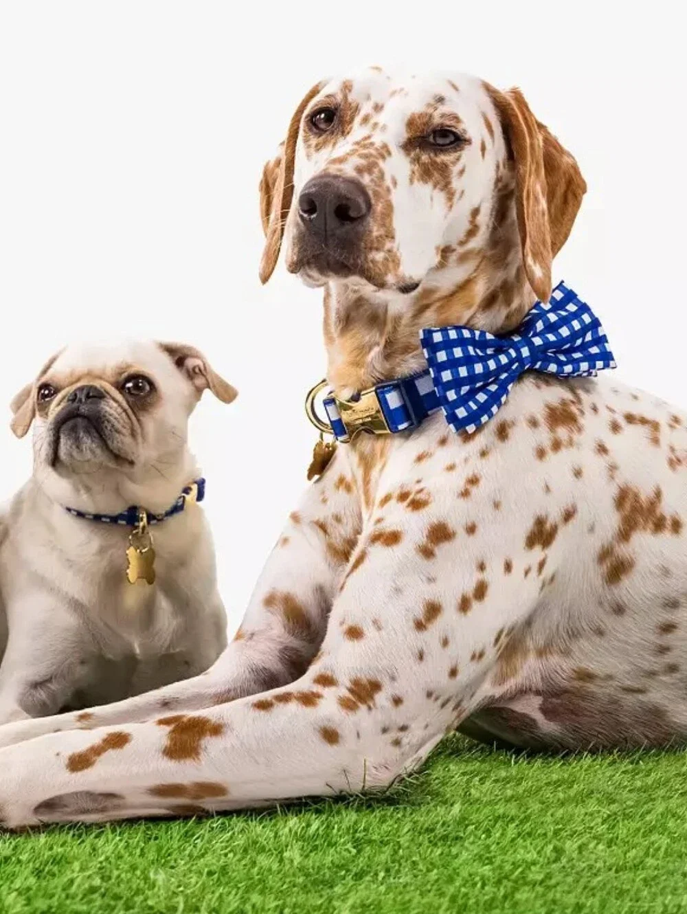 kate spade Navy Gingham Collar